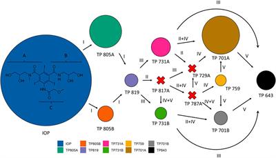 Periphyton in urban freshwater facilitates transformation of trace organic compounds: A case study on iodinated contrast media